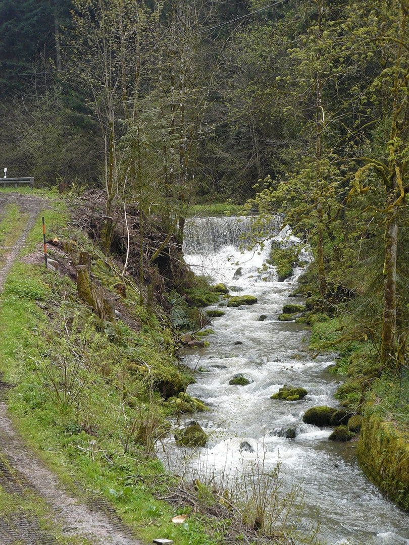Predaj domu 200 m², pozemek 20.000 m², Alpirsbach, Bádensko-Wurttembersko Predaj domu 200 m², pozemek 20.000 m², Alpirsbach, Bádensko-Wurttembersko