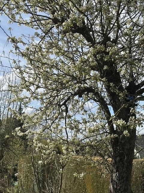 Predaj bytu 2-izbový 54 m², Hagen, Hohenlimburg, Severné Porýnie - Westfálsko Predaj bytu 2-izbový 54 m², Hagen, Hohenlimburg, Severné Porýnie - Westfálsko