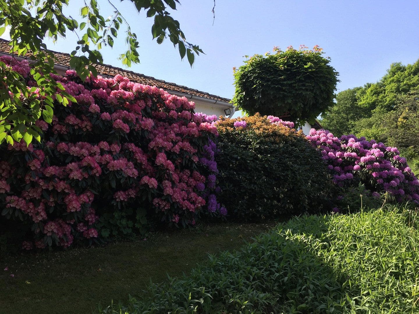 Predaj domu 253 m², pozemek 867 m², Heidenrod, Hesensko Predaj domu 253 m², pozemek 867 m², Heidenrod, Hesensko