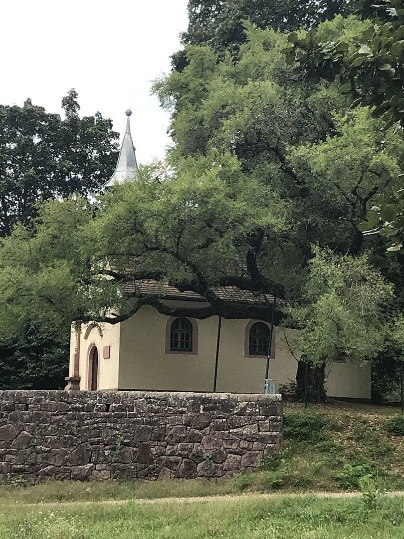 Predaj domu 157 m², pozemek 101 m², Karlsruhe, Bádensko-Wurttembersko Predaj domu 157 m², pozemek 101 m², Karlsruhe, Bádensko-Wurttembersko