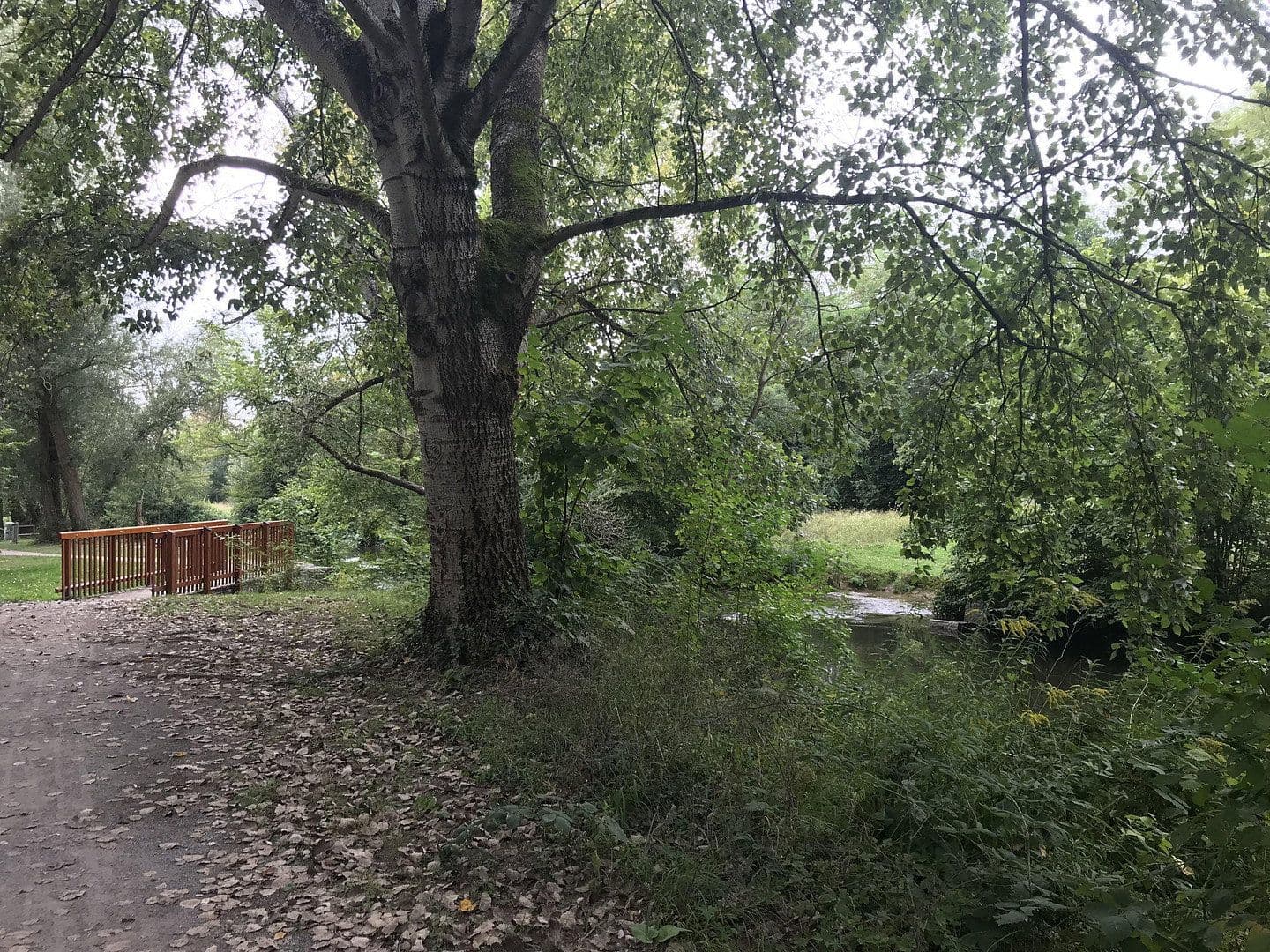 Predaj domu 157 m², pozemek 101 m², Karlsruhe, Bádensko-Wurttembersko Predaj domu 157 m², pozemek 101 m², Karlsruhe, Bádensko-Wurttembersko