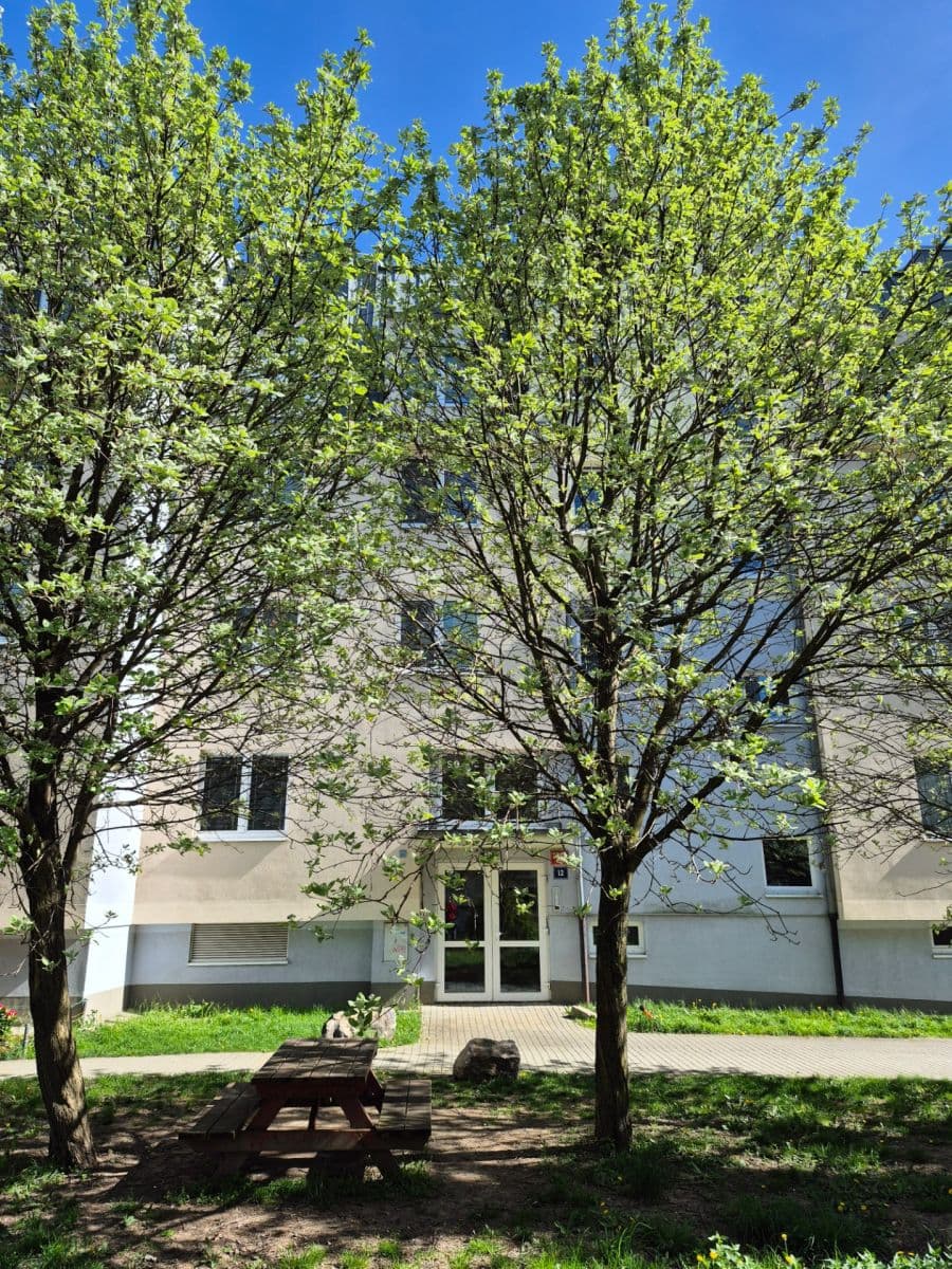 Prenájom bytu 3-izbový 85 m², Divišovská, Praha, Praha Prenájom bytu 3-izbový 85 m², Divišovská, Praha, Praha