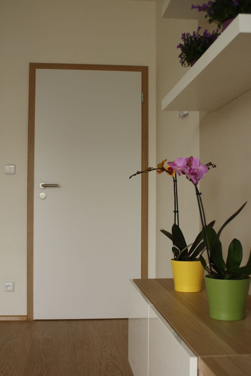 Prenájom bytu 2-izbový 55 m², Sochorova, Brno, Jihomoravský kraj Prenájom bytu 2-izbový 55 m², Sochorova, Brno, Jihomoravský kraj