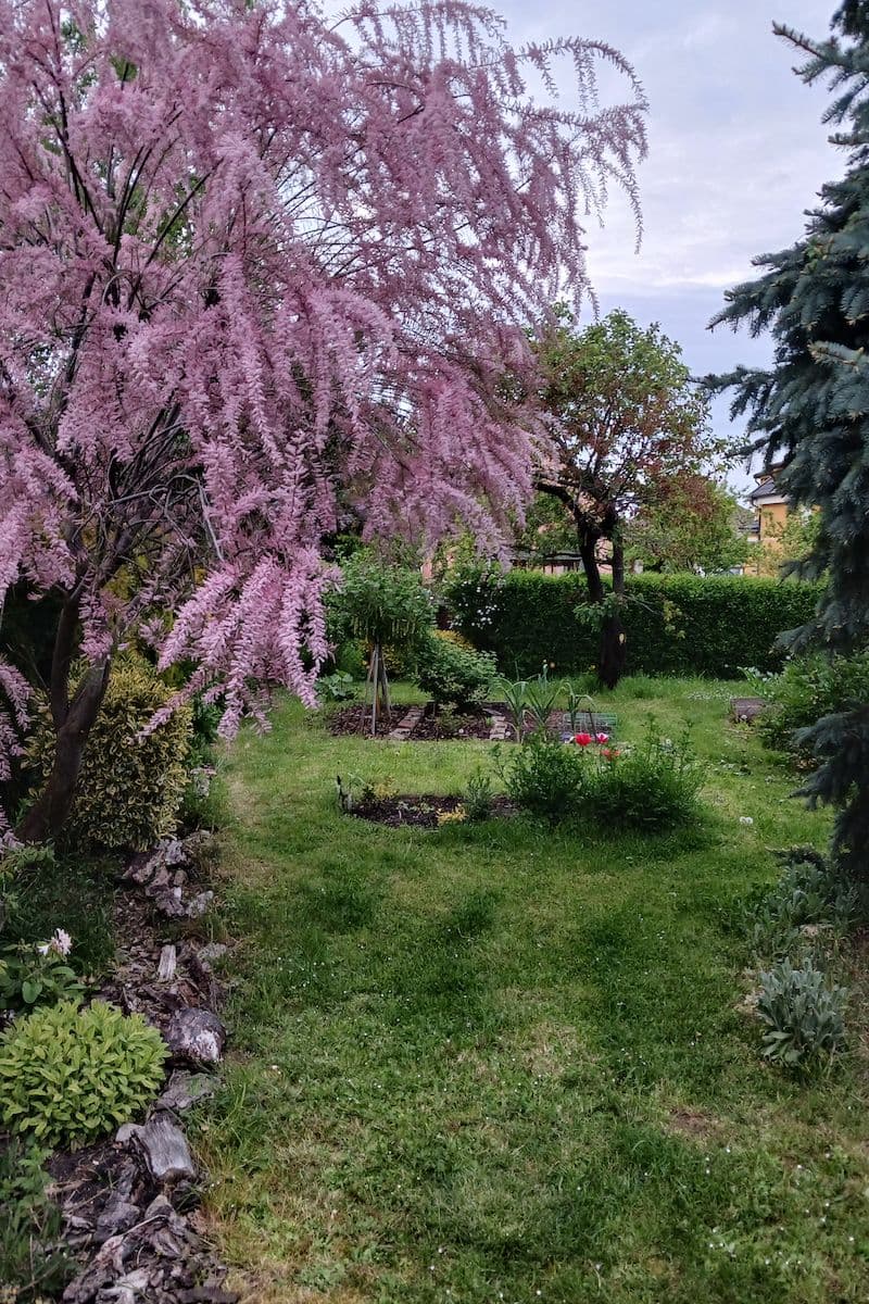 Predaj domu 158 m², pozemek 822 m², Třtinová, Praha, Praha Predaj domu 158 m², pozemek 822 m², Třtinová, Praha, Praha