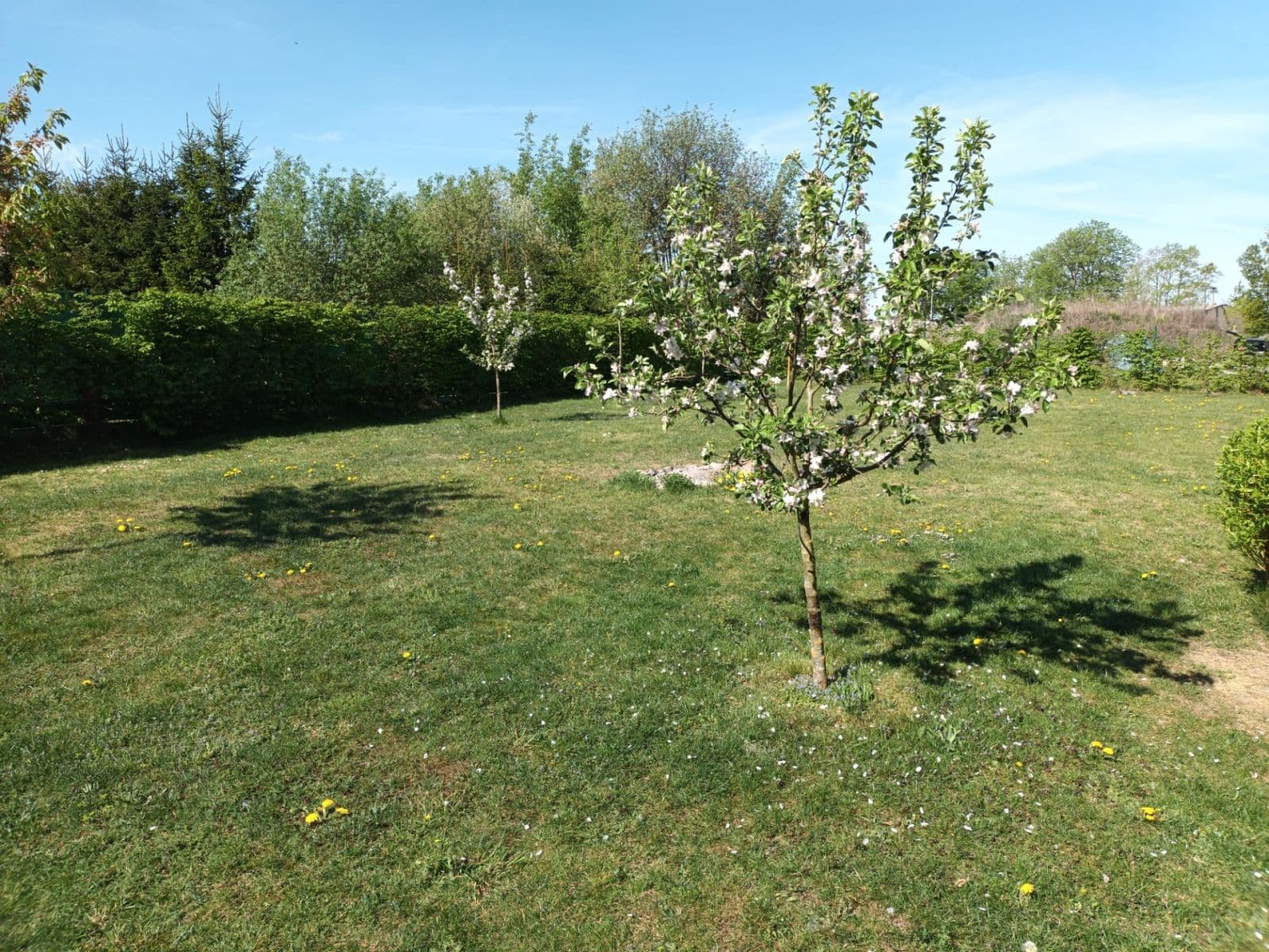 Predaj domu 318 m², pozemek 1.341 m², Soběslav, Jihočeský kraj Predaj domu 318 m², pozemek 1.341 m², Soběslav, Jihočeský kraj