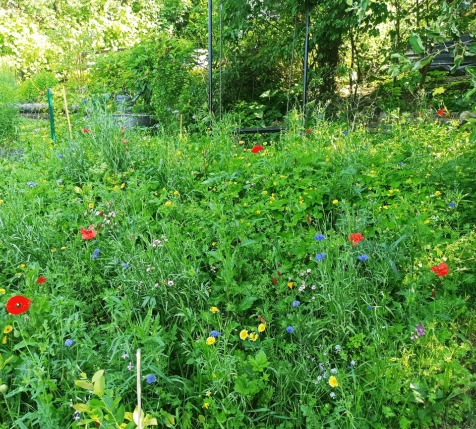 Predaj rekreačného objektu 25 m², pozemek 340 m², Na Okrouhlíku, Praha, Praha Predaj rekreačného objektu 25 m², pozemek 340 m², Na Okrouhlíku, Praha, Praha