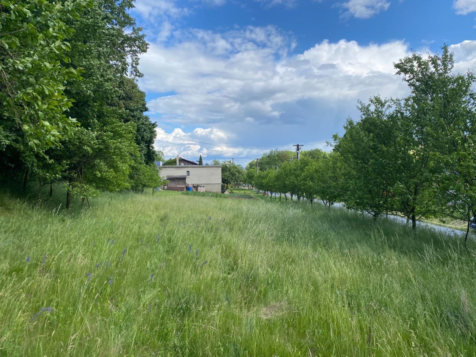 Predaj pozemku 1.467 m², Břestek, Zlínský kraj Predaj pozemku 1.467 m², Břestek, Zlínský kraj