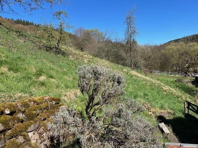 Predaj domu 160 m², pozemek 976 m², Schönbrunn, Bádensko-Wurttembersko Predaj domu 160 m², pozemek 976 m², Schönbrunn, Bádensko-Wurttembersko