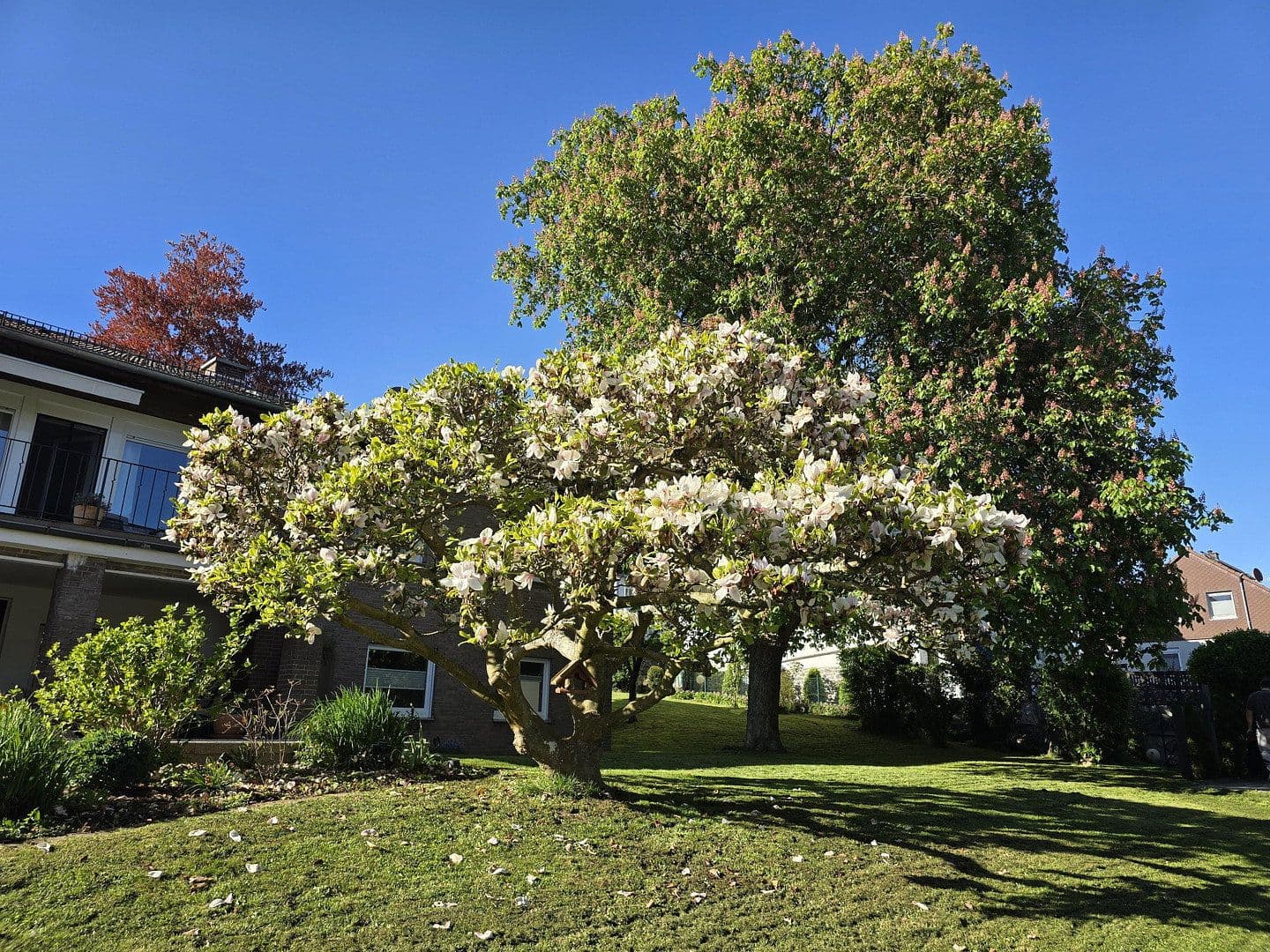 Predaj domu 240 m², pozemek 1.500 m², Hans-Staden-Allee 6, Homberg (Efze), Hesensko Predaj domu 240 m², pozemek 1.500 m², Hans-Staden-Allee 6, Homberg (Efze), Hesensko