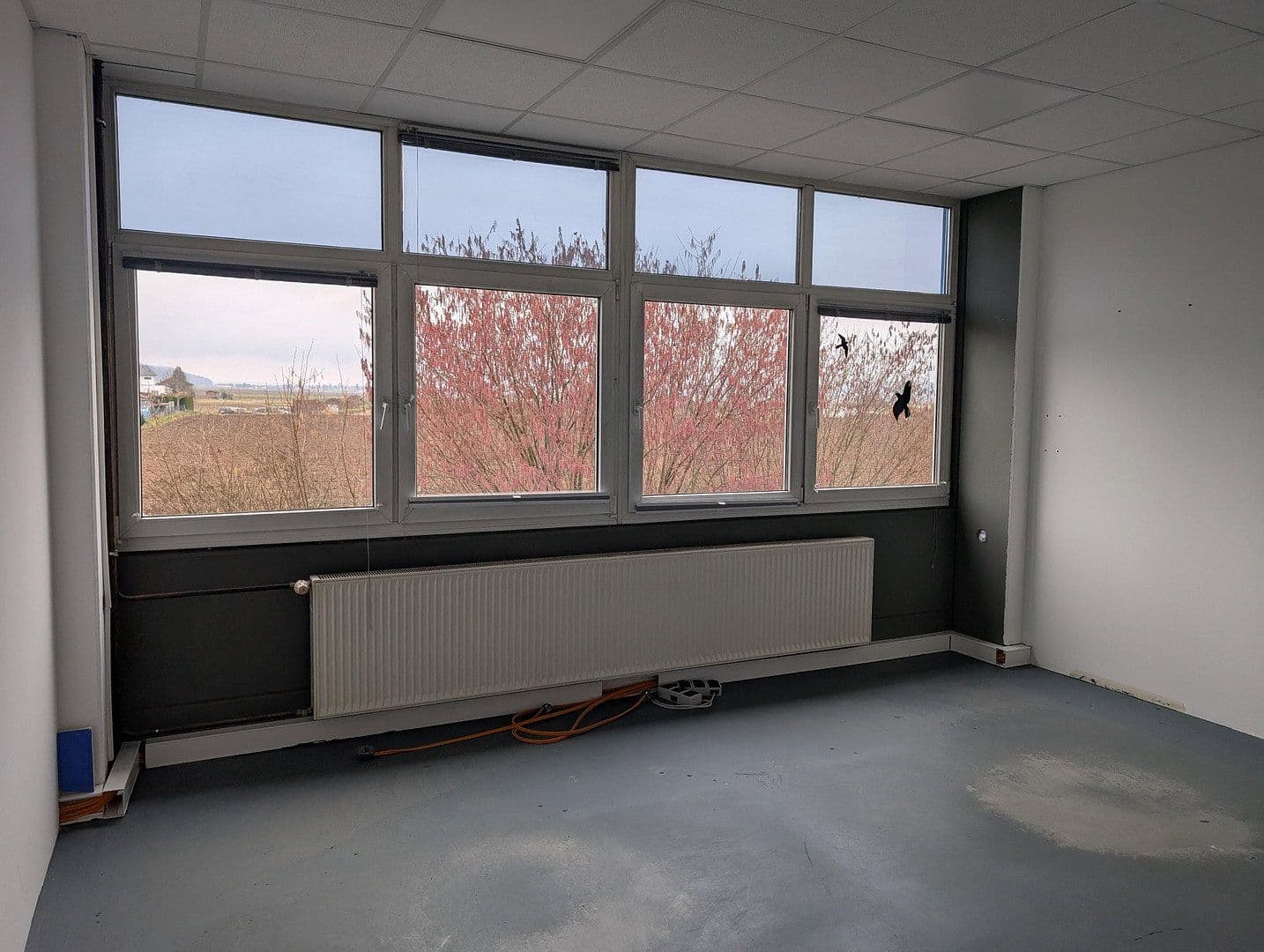 Prenájom nebytového priestoru 4.000 m², Werkstraße 3, Buch, Bavorsko Prenájom nebytového priestoru 4.000 m², Werkstraße 3, Buch, Bavorsko