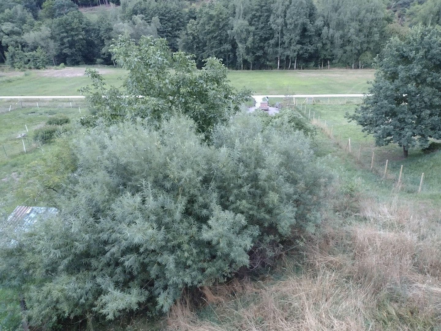 Predaj pozemku 581 m², Heimbuchenthal, Bavorsko Predaj pozemku 581 m², Heimbuchenthal, Bavorsko