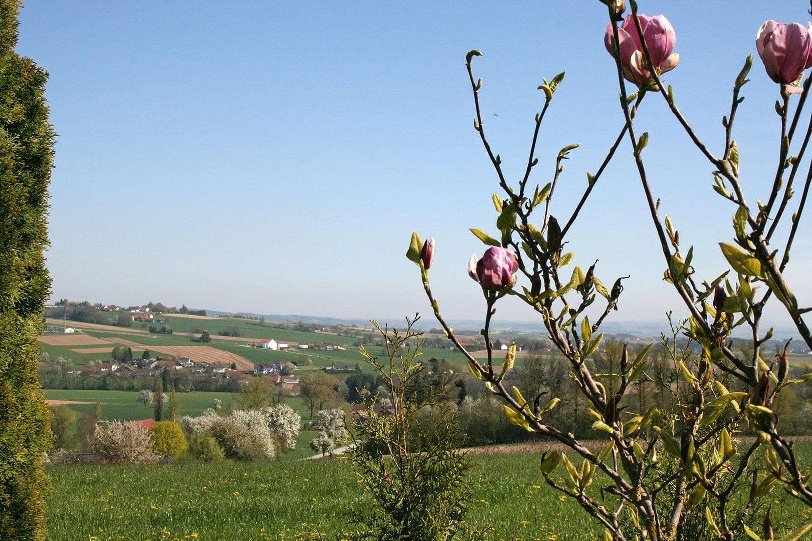 Predaj domu 155 m², pozemek 336 m², Fürstenzell, Bavorsko Predaj domu 155 m², pozemek 336 m², Fürstenzell, Bavorsko