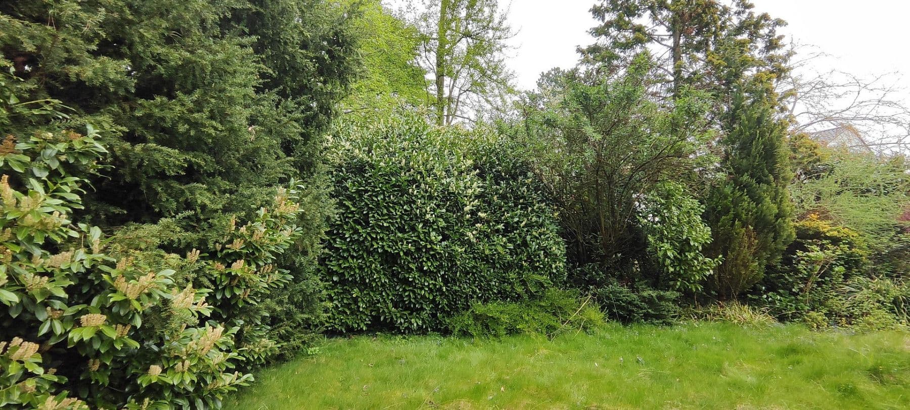 Predaj pozemku 1.646 m², Verschaffeltstr.4, Düsseldorf, Severné Porýnie - Westfálsko Predaj pozemku 1.646 m², Verschaffeltstr.4, Düsseldorf, Severné Porýnie - Westfálsko