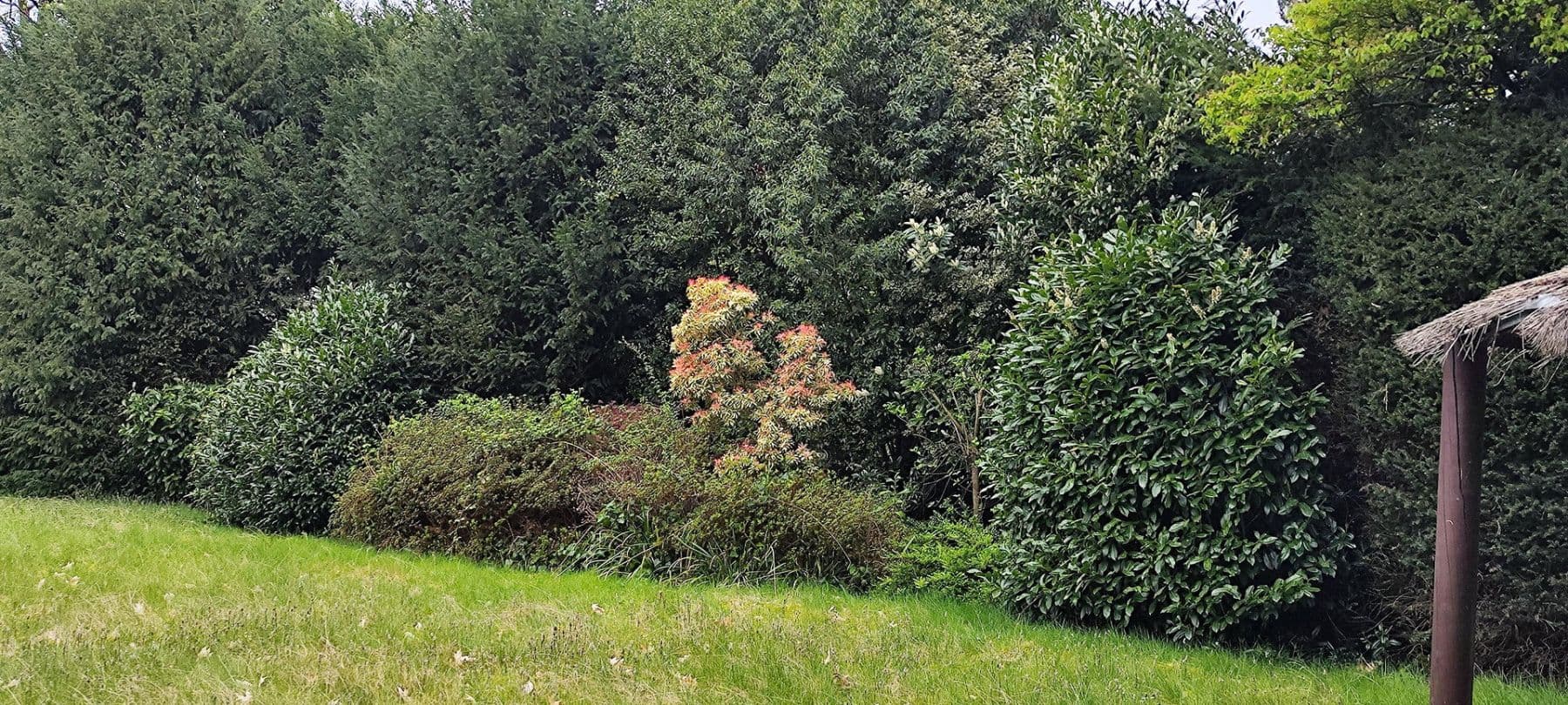 Predaj pozemku 1.646 m², Verschaffeltstr.4, Düsseldorf, Severné Porýnie - Westfálsko Predaj pozemku 1.646 m², Verschaffeltstr.4, Düsseldorf, Severné Porýnie - Westfálsko