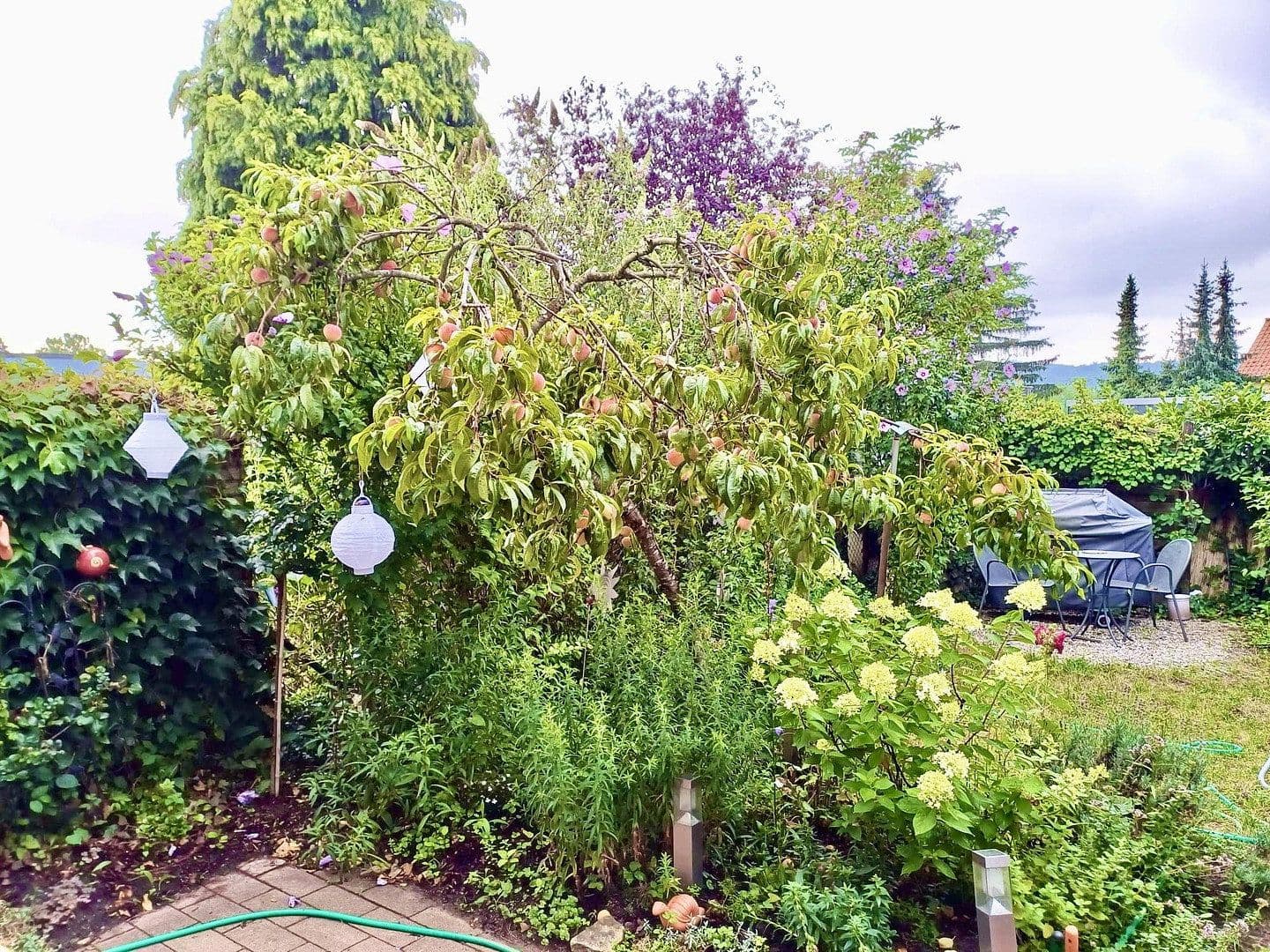 Predaj domu 110 m², pozemek 154 m², Mühltal, Hesensko Predaj domu 110 m², pozemek 154 m², Mühltal, Hesensko