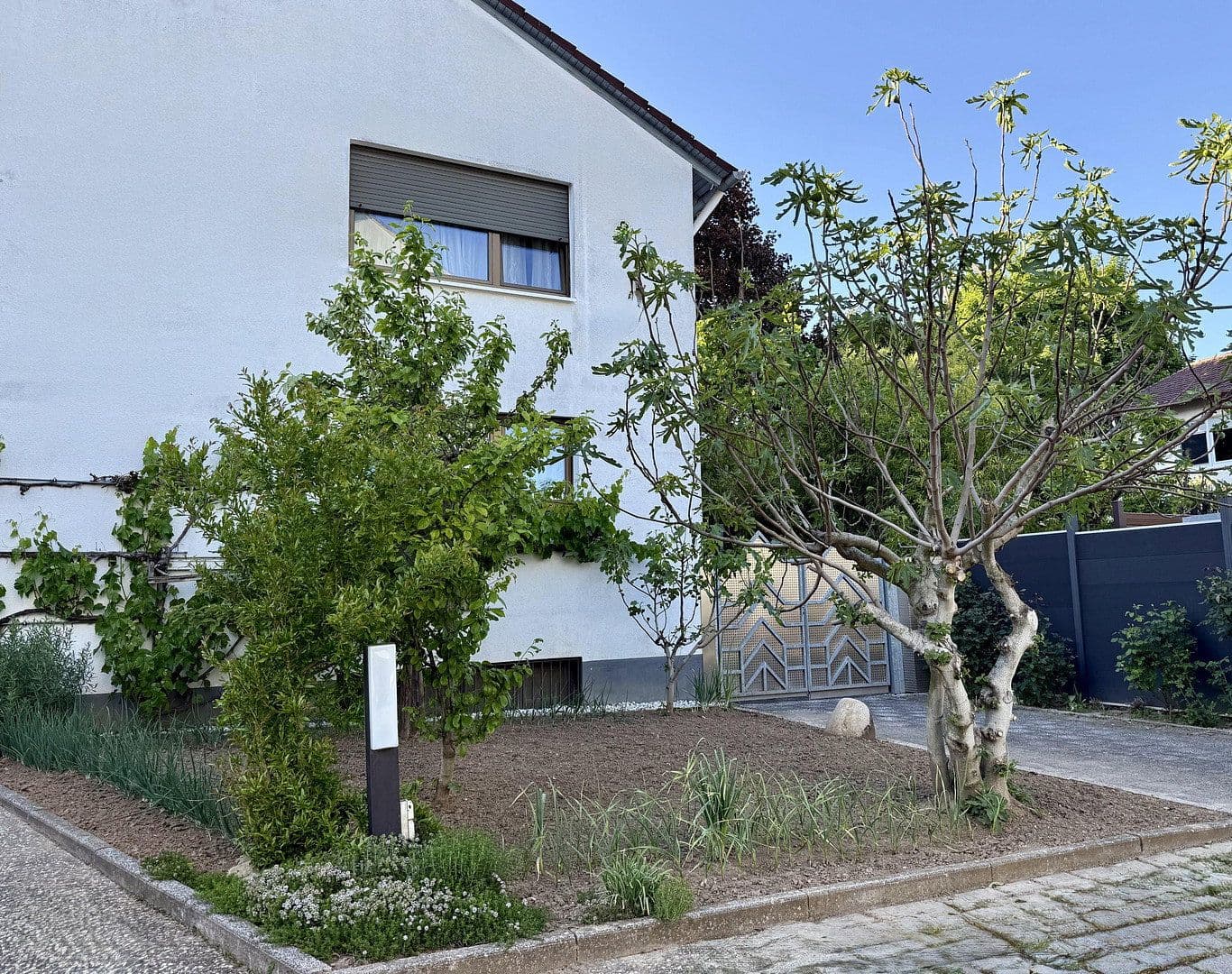 Predaj domu 293 m², pozemek 1.000 m², Nieder-Olm, Porýnie-Falcko Predaj domu 293 m², pozemek 1.000 m², Nieder-Olm, Porýnie-Falcko