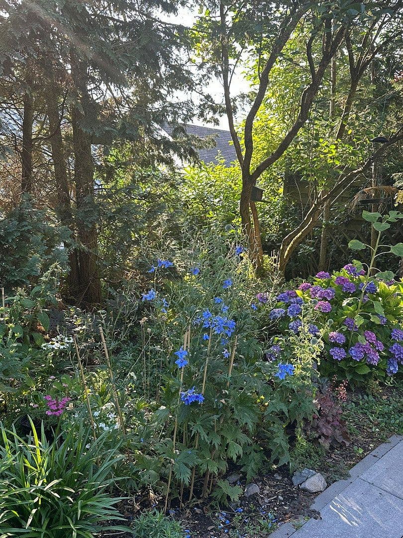 Prenájom bytu 4-izbový 210 m², Koblenz, Porýnie-Falcko Prenájom bytu 4-izbový 210 m², Koblenz, Porýnie-Falcko