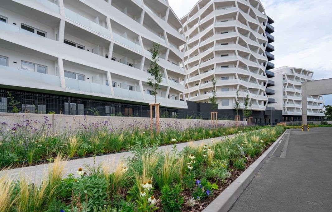 Prenájom bytu 1-izbový 38 m², Komárovská, Brno, Jihomoravský kraj Prenájom bytu 1-izbový 38 m², Komárovská, Brno, Jihomoravský kraj