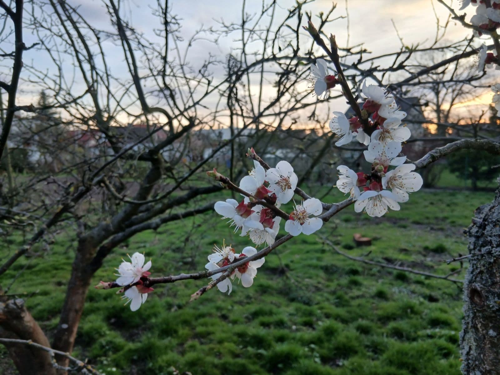 Predaj pozemku 853 m², Borovská, Praha, Praha Predaj pozemku 853 m², Borovská, Praha, Praha