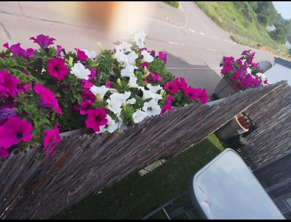 Prenájom bytu 2-izbový 60 m², Könener Str. 71, Konz, Porýnie-Falcko Prenájom bytu 2-izbový 60 m², Könener Str. 71, Konz, Porýnie-Falcko