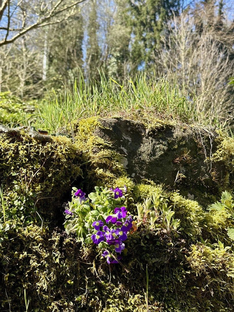 Prenájom bytu 3-izbový 80 m², Calw, Bádensko-Wurttembersko Prenájom bytu 3-izbový 80 m², Calw, Bádensko-Wurttembersko