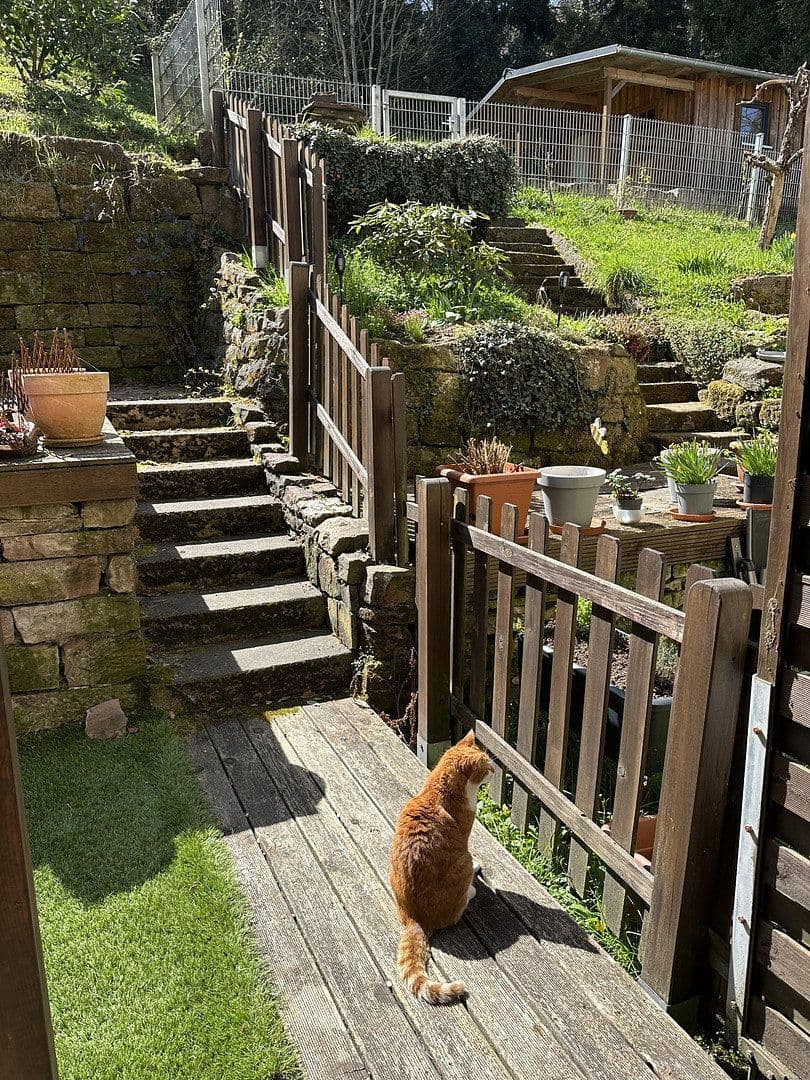 Prenájom bytu 3-izbový 80 m², Calw, Bádensko-Wurttembersko Prenájom bytu 3-izbový 80 m², Calw, Bádensko-Wurttembersko