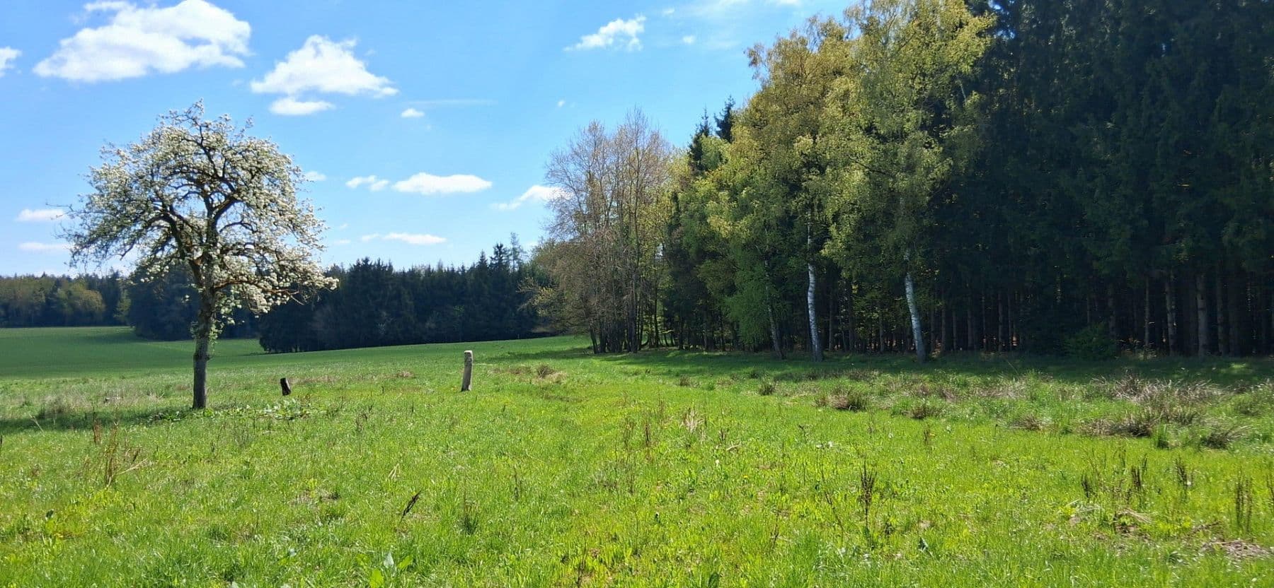 Predaj pozemku 12.500 m², Tölzenöd 2, Egglham, Bavorsko Predaj pozemku 12.500 m², Tölzenöd 2, Egglham, Bavorsko