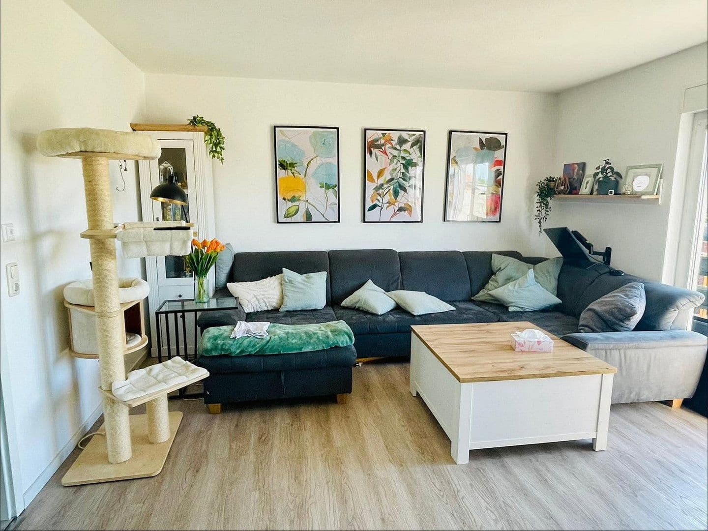 Prenájom domu 110 m², pozemek 400 m², Am Baalberger Sportplatz 5 b, Bernburg, Sasko-Anhaltsko Prenájom domu 110 m², pozemek 400 m², Am Baalberger Sportplatz 5 b, Bernburg, Sasko-Anhaltsko