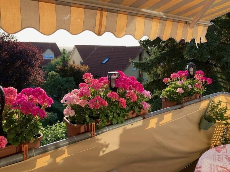 Predaj bytu 2-izbový 53 m², Pirna, Sasko Predaj bytu 2-izbový 53 m², Pirna, Sasko