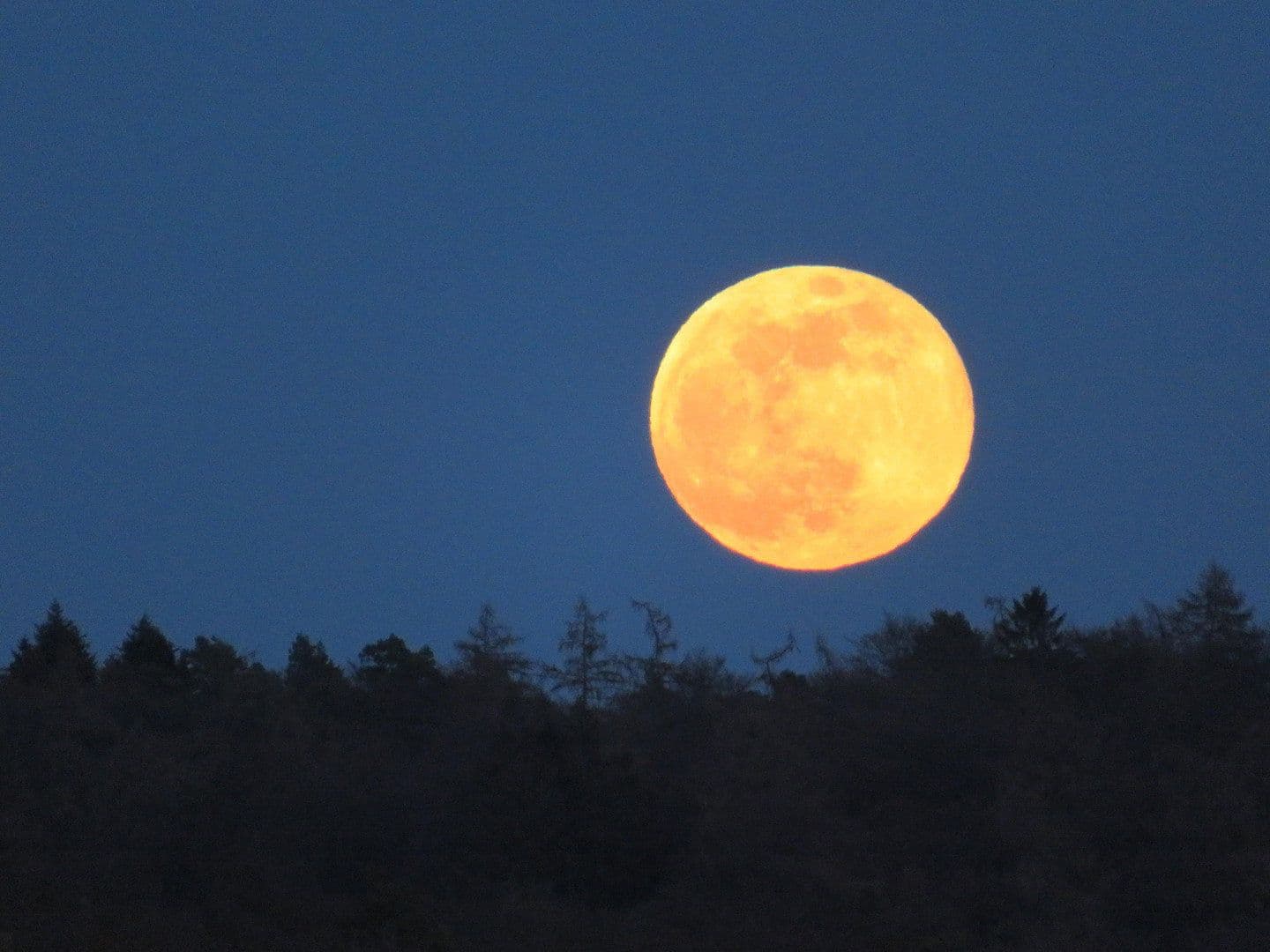 Predaj bytu 4-izbový 129 m², Idstein, Hesensko Predaj bytu 4-izbový 129 m², Idstein, Hesensko