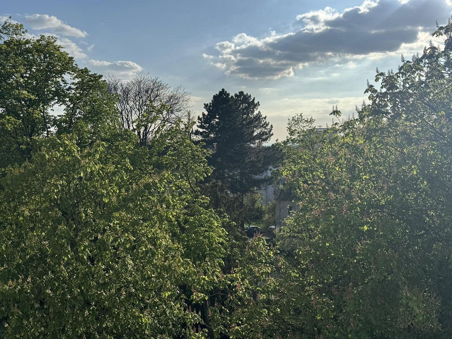Predaj bytu 2-izbový 57 m², Darmstadt, Hesensko Predaj bytu 2-izbový 57 m², Darmstadt, Hesensko