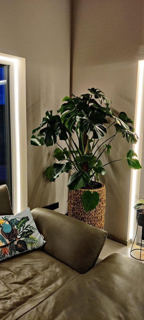 Predaj domu 178 m², pozemek 680 m², Langensendelbach, Bavorsko Predaj domu 178 m², pozemek 680 m², Langensendelbach, Bavorsko