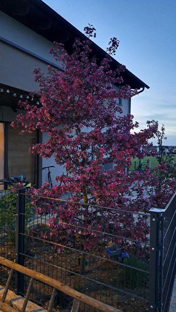 Predaj domu 178 m², pozemek 680 m², Langensendelbach, Bavorsko Predaj domu 178 m², pozemek 680 m², Langensendelbach, Bavorsko