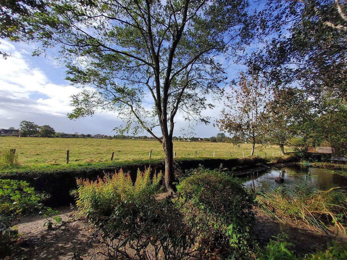 Predaj domu 264 m², pozemek 1.464 m², Wesselburen, Šlezvicko-Holštajnsko Predaj domu 264 m², pozemek 1.464 m², Wesselburen, Šlezvicko-Holštajnsko