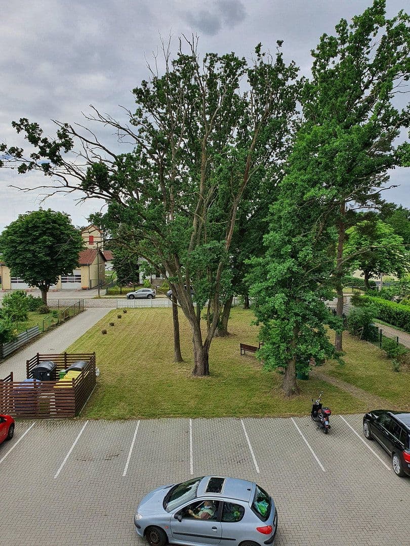 Prenájom bytu 2-izbový 34 m², Bruchmühler Str. 77, Fredersdorf-Vogelsdorf, Brandenbursko Prenájom bytu 2-izbový 34 m², Bruchmühler Str. 77, Fredersdorf-Vogelsdorf, Brandenbursko