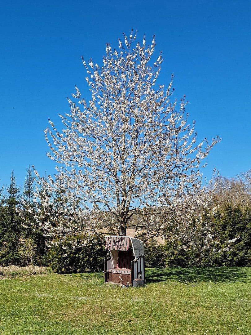 Predaj domu 220 m², pozemek 2.235 m², Garz, Meklenbursko-Predpomoransko Predaj domu 220 m², pozemek 2.235 m², Garz, Meklenbursko-Predpomoransko