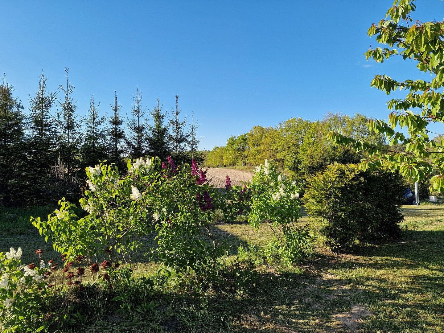 Predaj domu 220 m², pozemek 2.235 m², Garz, Meklenbursko-Predpomoransko Predaj domu 220 m², pozemek 2.235 m², Garz, Meklenbursko-Predpomoransko