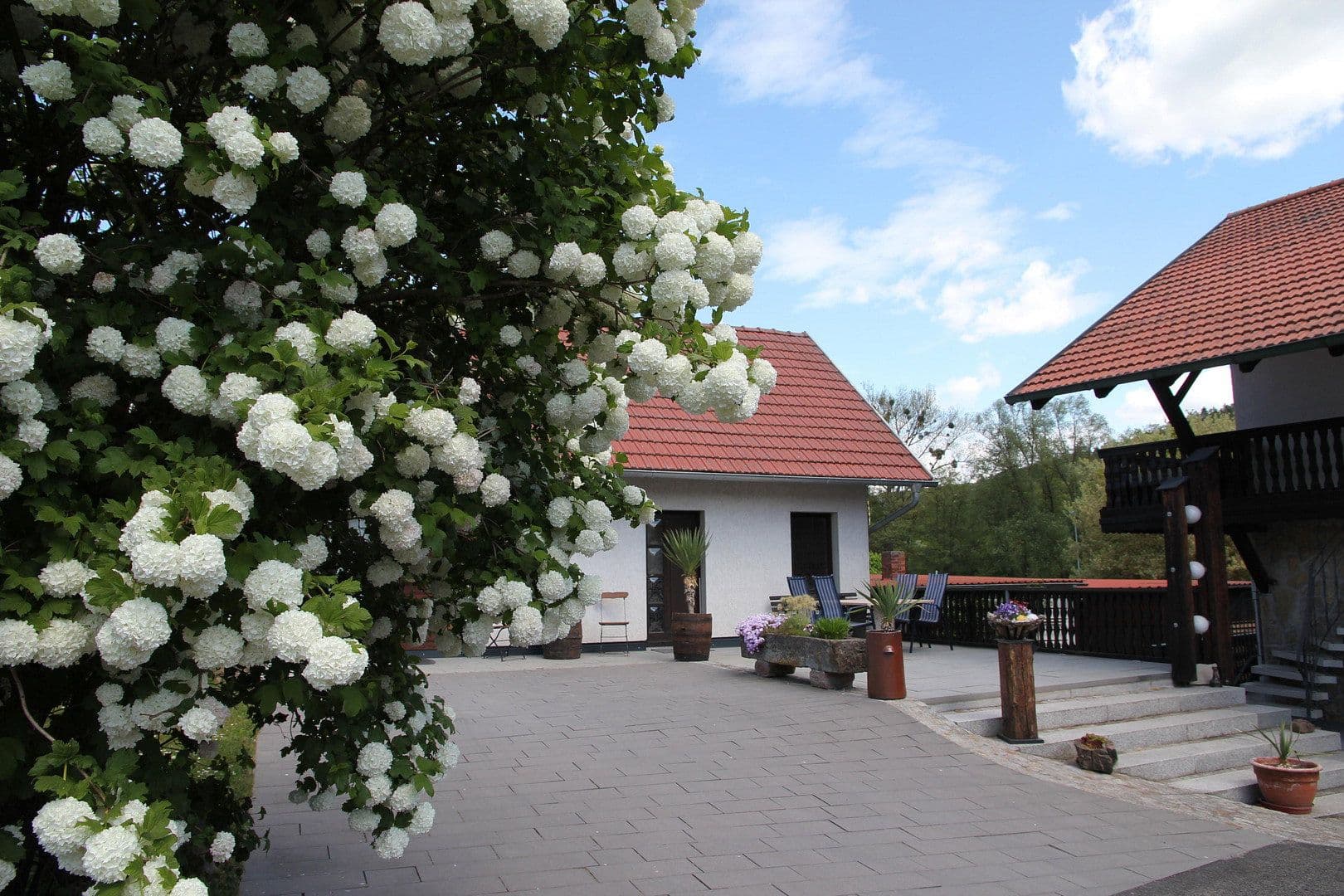 Predaj domu 585 m², pozemek 3.182 m², Rippershausen, Durínsko Predaj domu 585 m², pozemek 3.182 m², Rippershausen, Durínsko