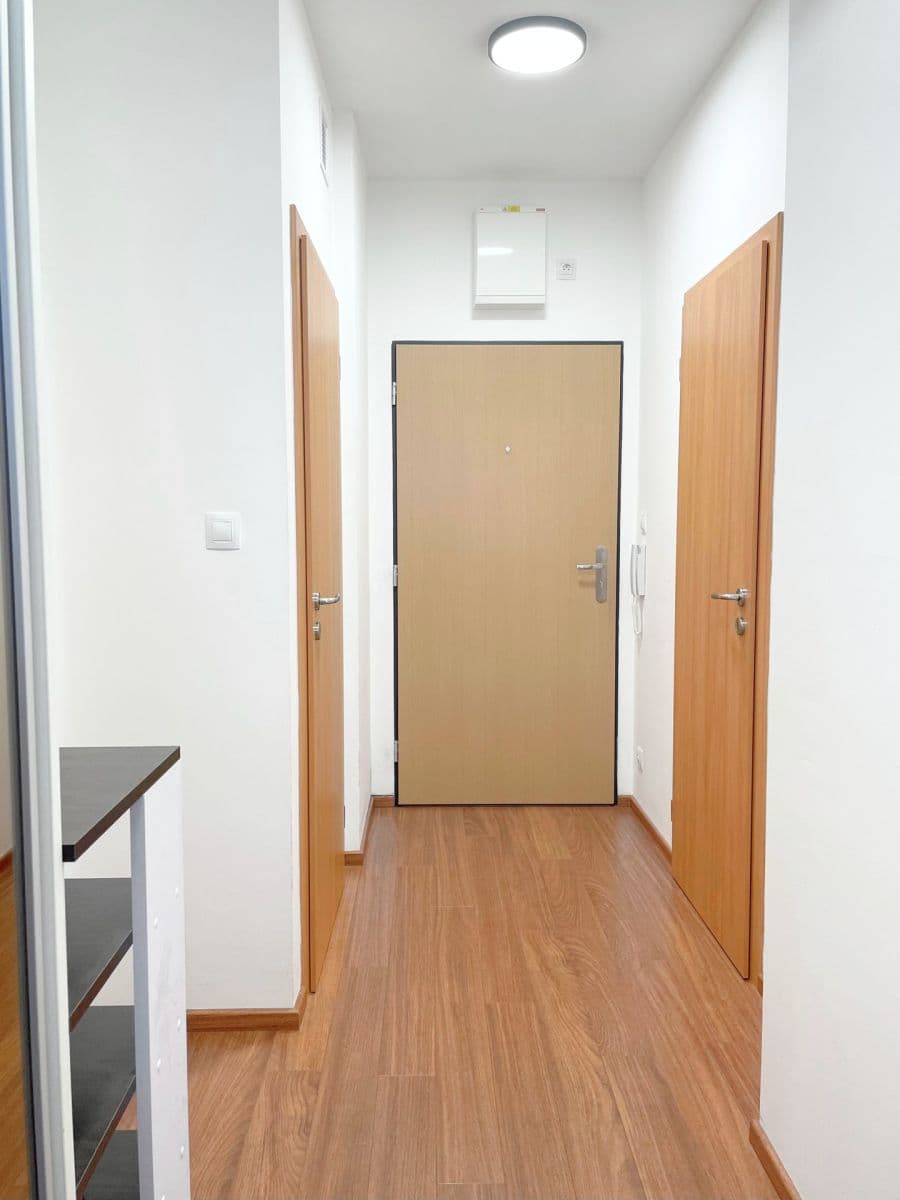 Prenájom bytu 2-izbový 50 m², Svitákova, Praha, Praha Prenájom bytu 2-izbový 50 m², Svitákova, Praha, Praha