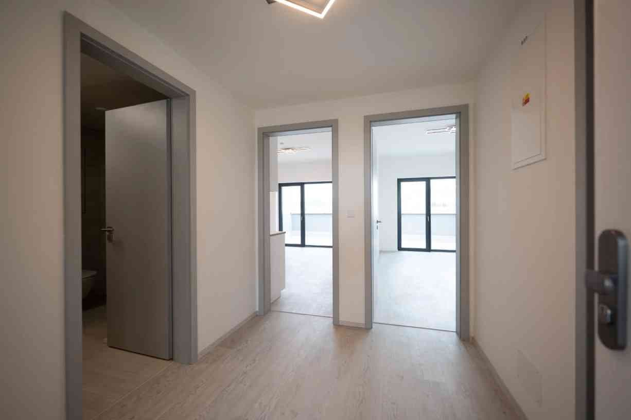 Prenájom bytu 2-izbový 80 m², Nové sady, Brno, Jihomoravský kraj Prenájom bytu 2-izbový 80 m², Nové sady, Brno, Jihomoravský kraj