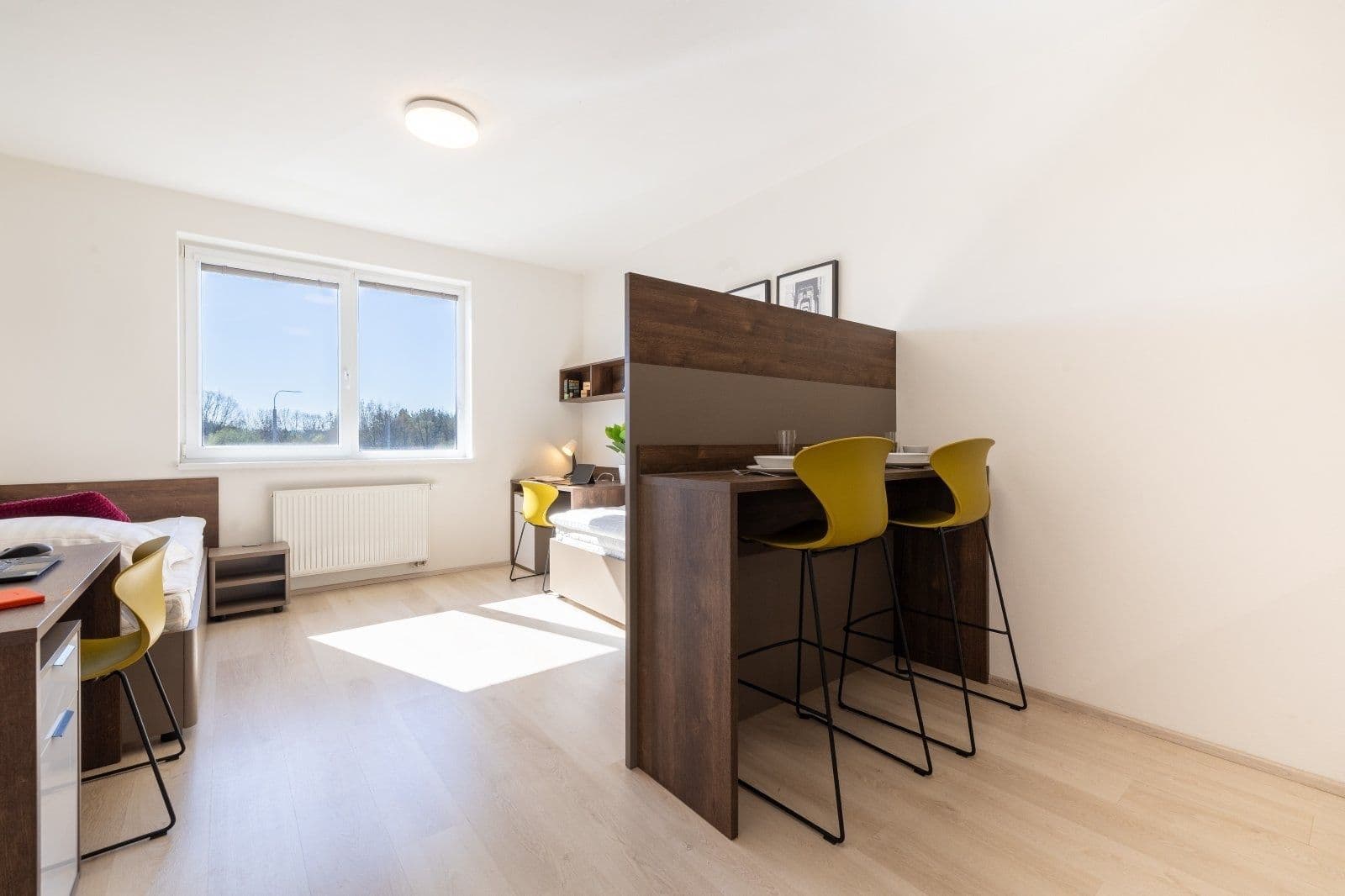 Prenájom bytu 1-izbový 27 m², Magisterská, Plzeň, Plzeňský kraj Prenájom bytu 1-izbový 27 m², Magisterská, Plzeň, Plzeňský kraj