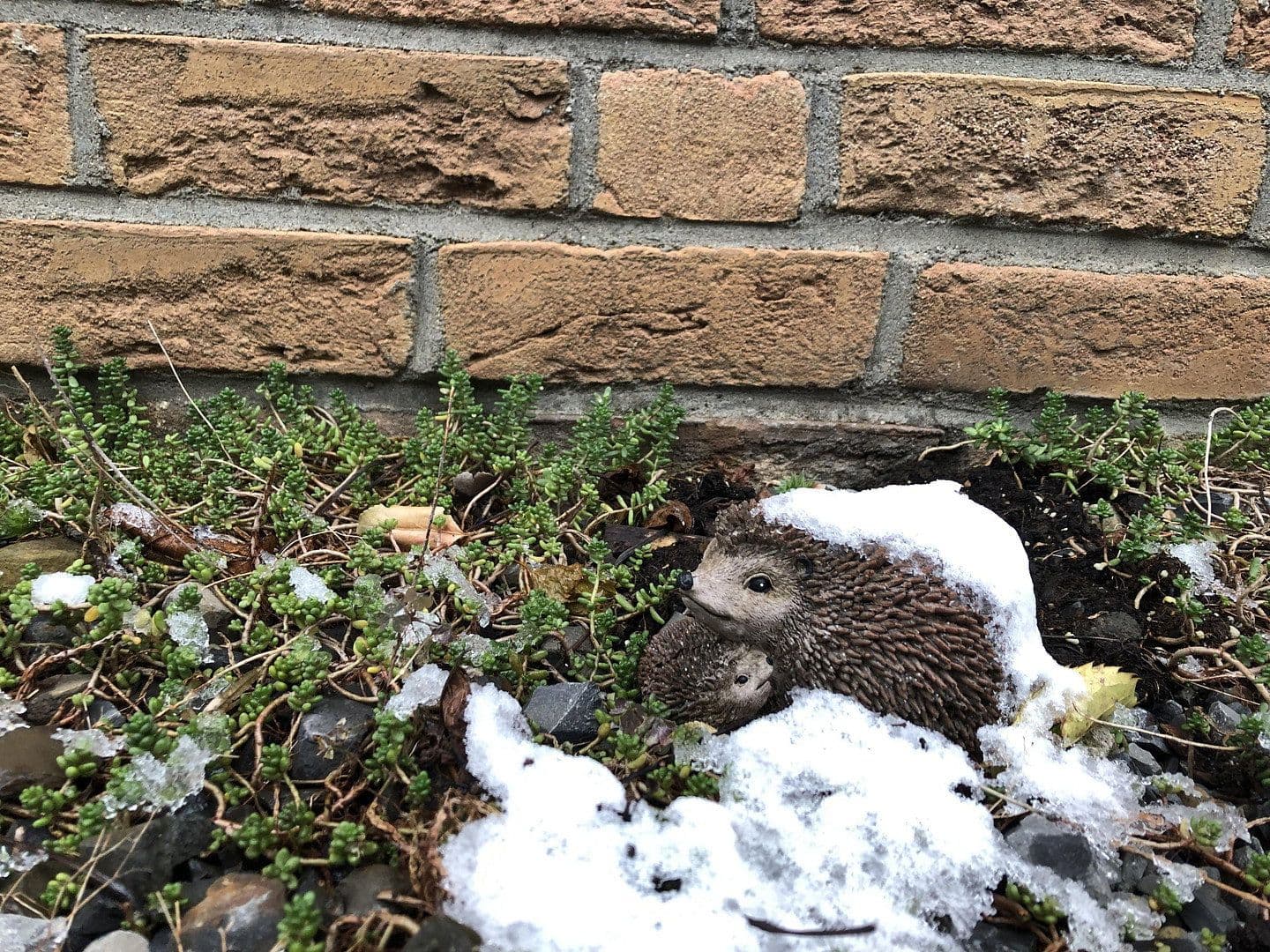 Predaj domu 120 m², pozemek 323 m², Wesel, Severné Porýnie - Westfálsko Predaj domu 120 m², pozemek 323 m², Wesel, Severné Porýnie - Westfálsko