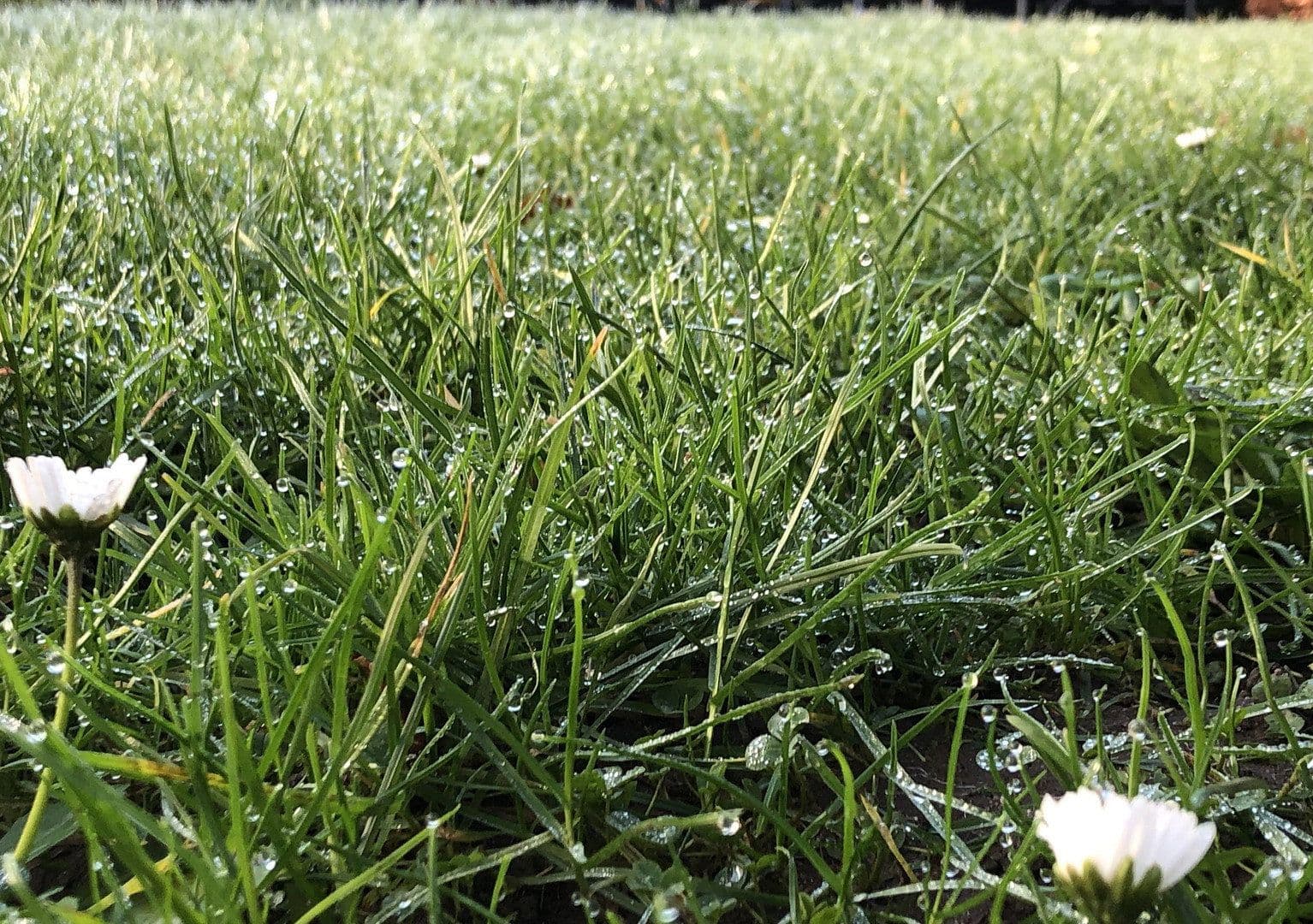 Predaj domu 120 m², pozemek 323 m², Wesel, Severné Porýnie - Westfálsko Predaj domu 120 m², pozemek 323 m², Wesel, Severné Porýnie - Westfálsko