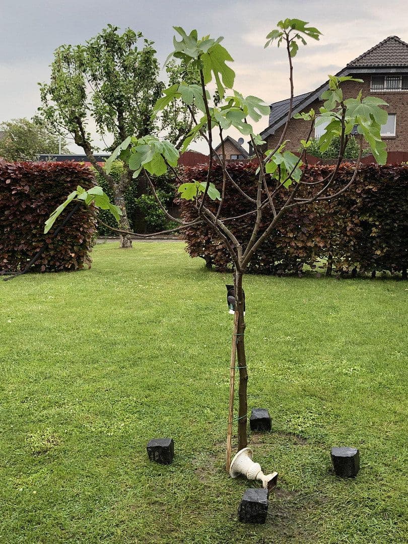 Predaj domu 120 m², pozemek 323 m², Wesel, Severné Porýnie - Westfálsko Predaj domu 120 m², pozemek 323 m², Wesel, Severné Porýnie - Westfálsko