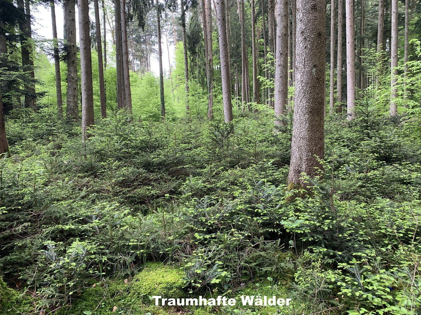 Predaj domu 350 m², pozemek 255.000 m², Ebersberg, Bavorsko Predaj domu 350 m², pozemek 255.000 m², Ebersberg, Bavorsko