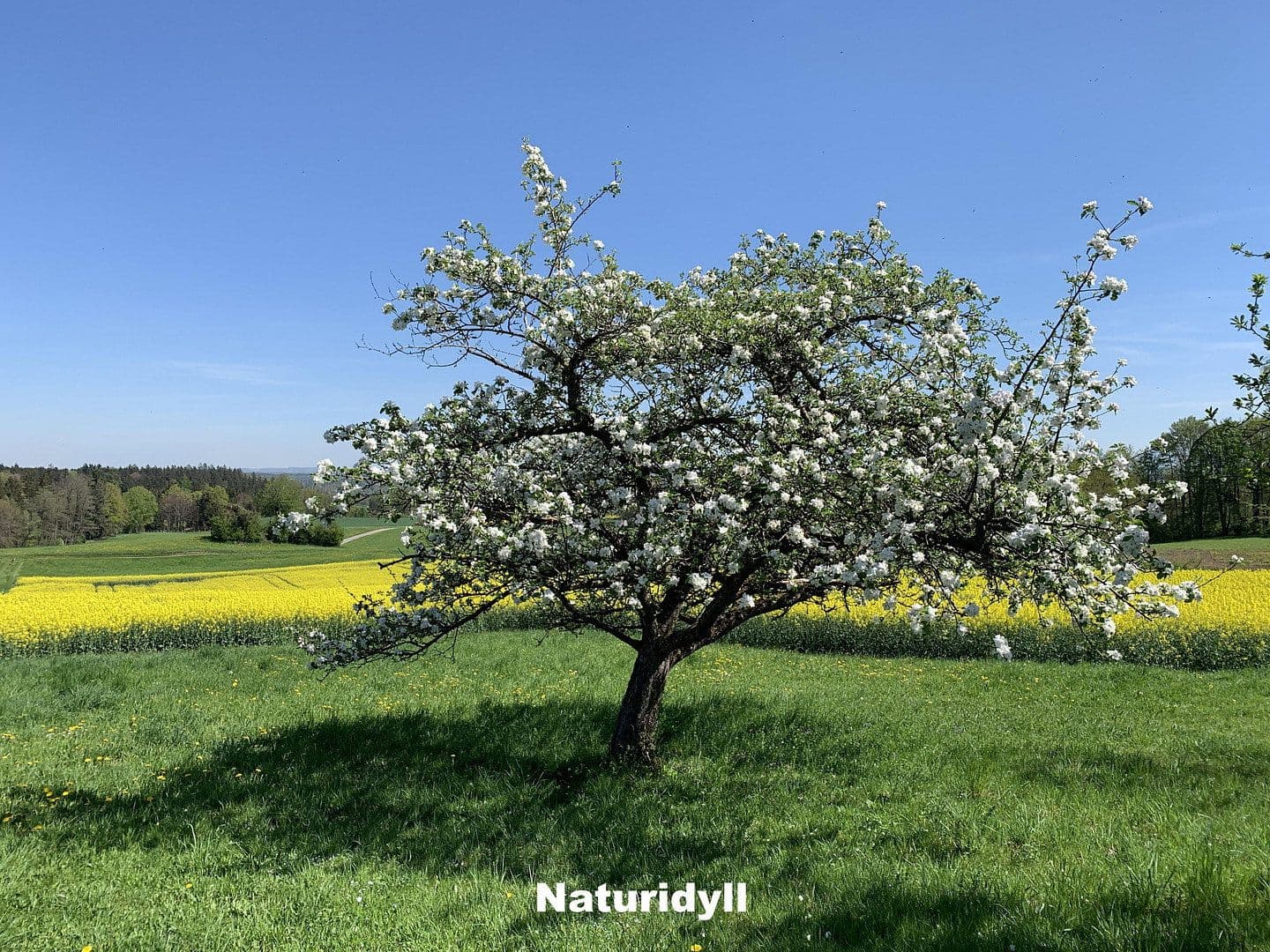 Predaj domu 350 m², pozemek 255.000 m², Ebersberg, Bavorsko Predaj domu 350 m², pozemek 255.000 m², Ebersberg, Bavorsko