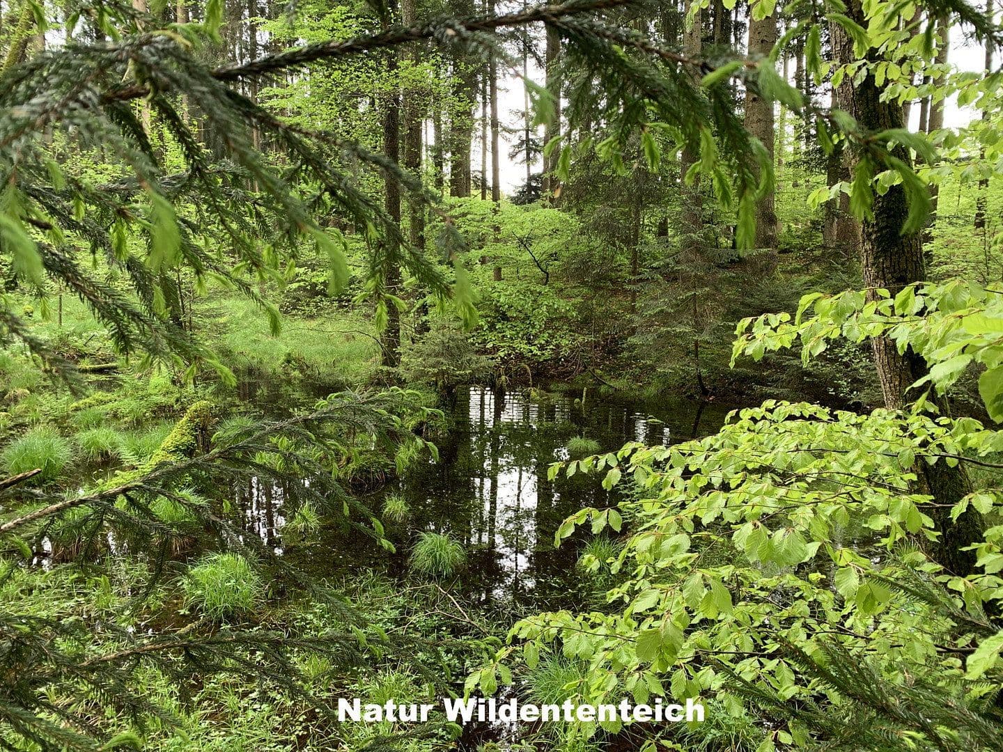 Predaj domu 350 m², pozemek 255.000 m², Ebersberg, Bavorsko Predaj domu 350 m², pozemek 255.000 m², Ebersberg, Bavorsko