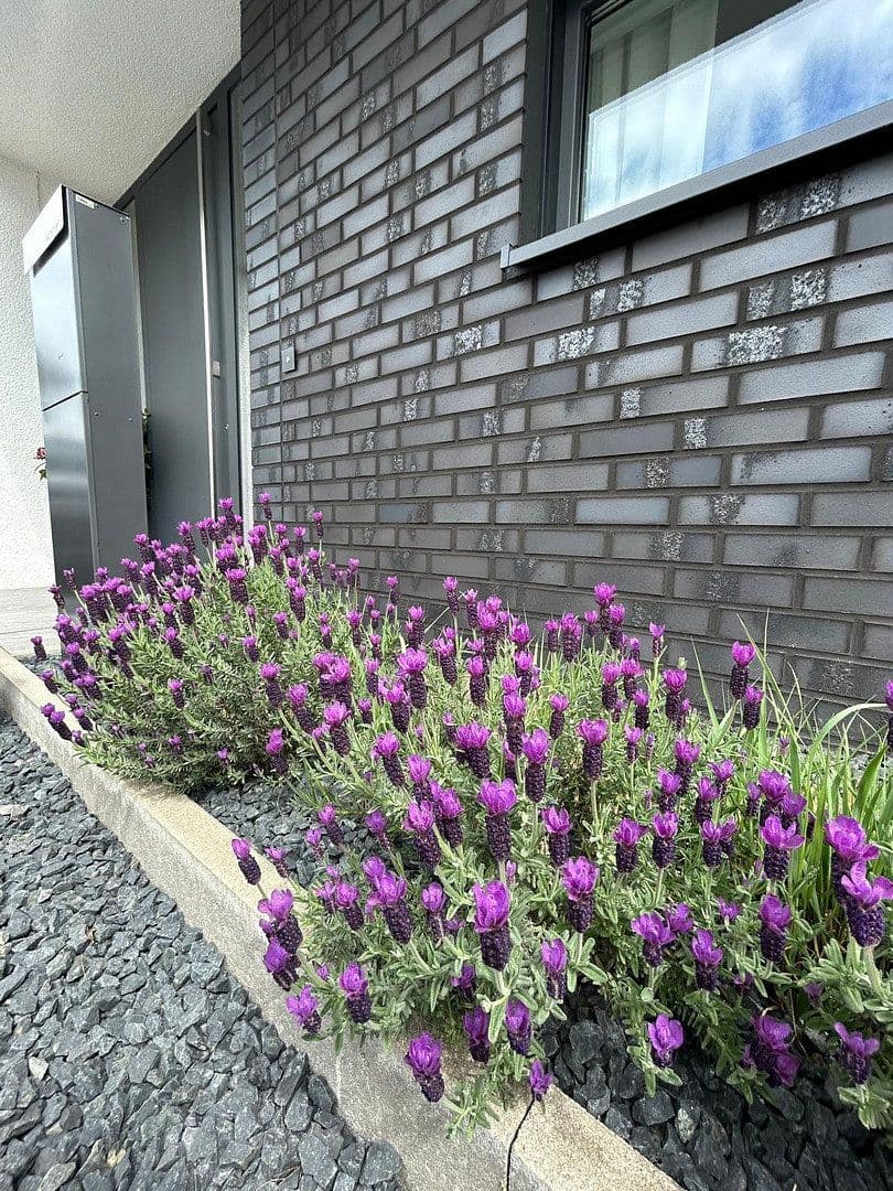Predaj domu 152 m², pozemek 451 m², Jüchen, Severné Porýnie - Westfálsko Predaj domu 152 m², pozemek 451 m², Jüchen, Severné Porýnie - Westfálsko