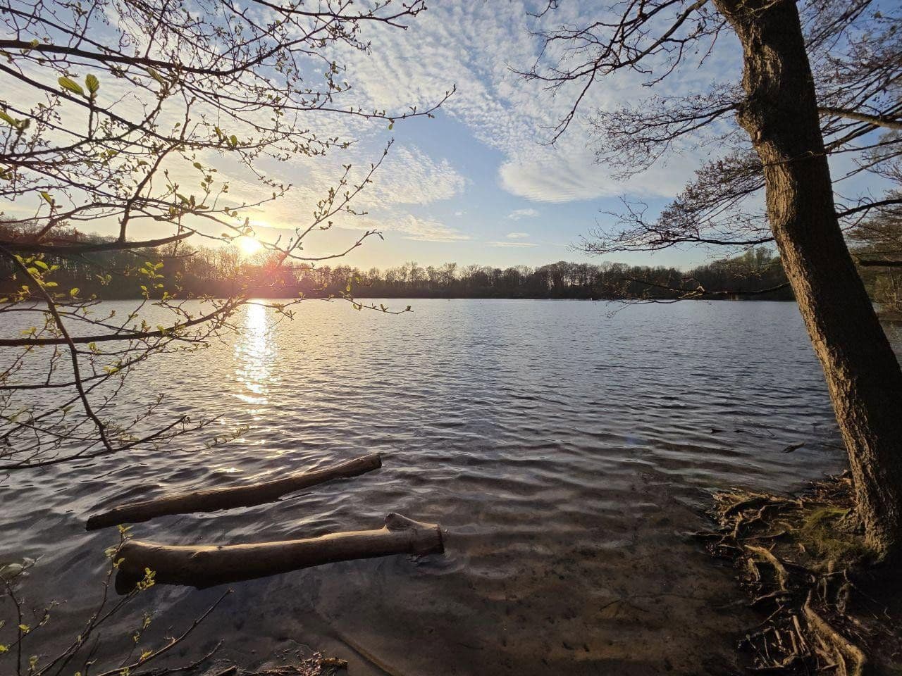 Prenájom bytu 3-izbový 73 m², Weidenstraße 3, Halstenbek, Šlezvicko-Holštajnsko Prenájom bytu 3-izbový 73 m², Weidenstraße 3, Halstenbek, Šlezvicko-Holštajnsko