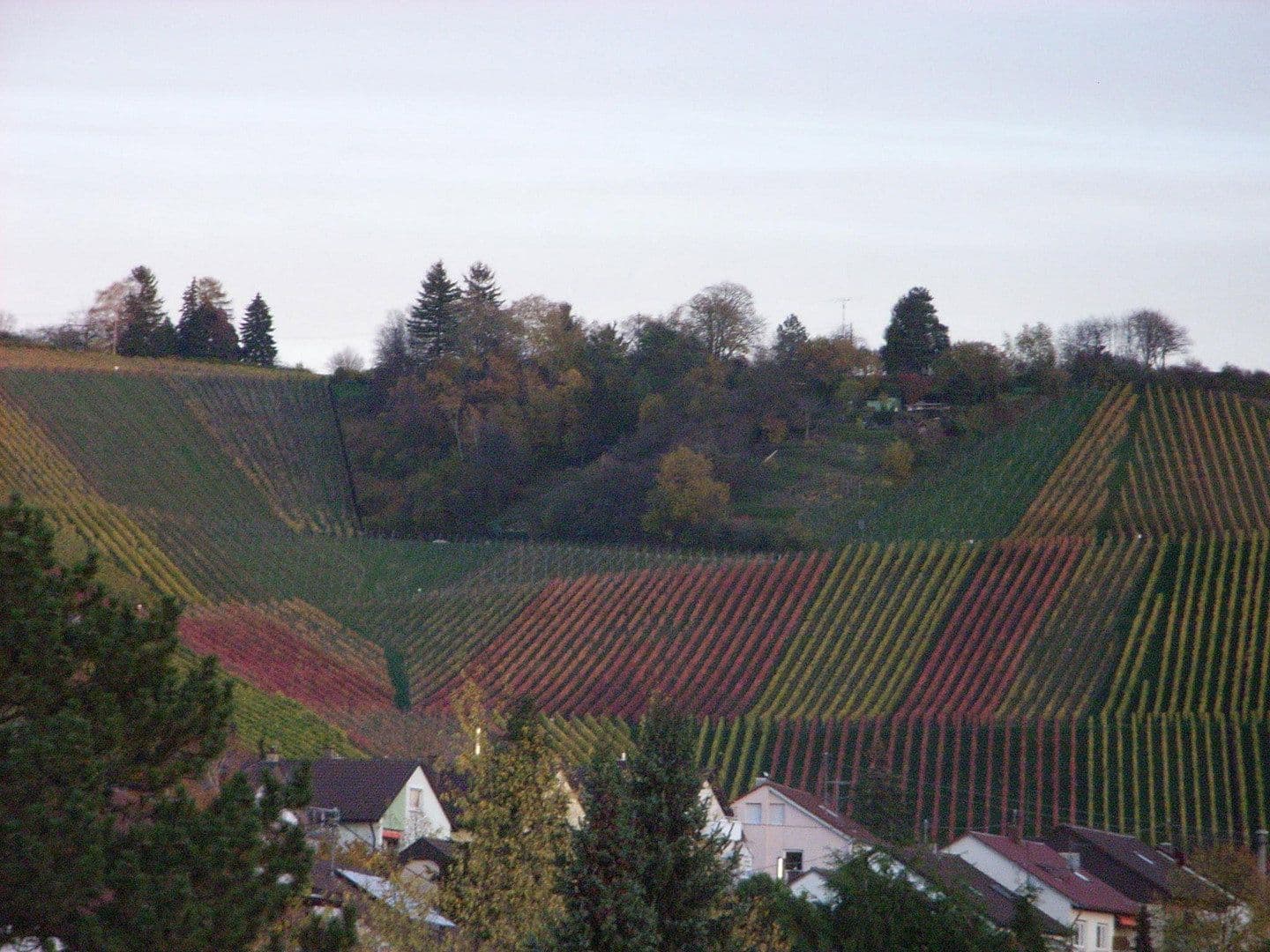 Predaj bytu 4-izbový 112 m², Burghaldenstraße 13, Weinstadt, Bádensko-Wurttembersko Predaj bytu 4-izbový 112 m², Burghaldenstraße 13, Weinstadt, Bádensko-Wurttembersko